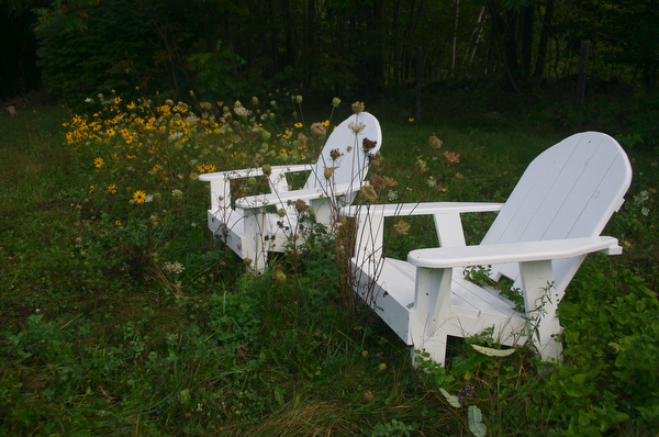 crw_9676.JPG