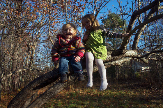 Beatrice and Charlotte hang out in one of our apple trees