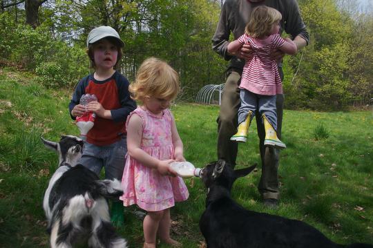 Bea and Connor feed Lily and Nadine