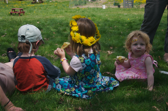 Connor, Charlotte and Bea enjoy a beautiful day on the farm with cupcakes