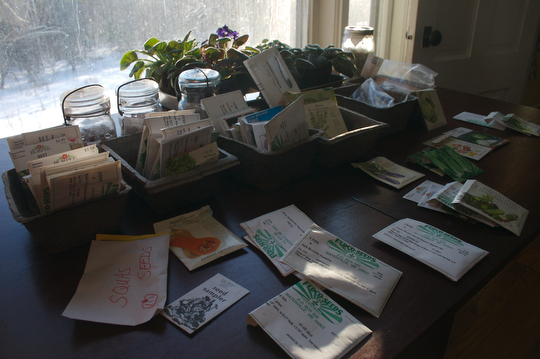 Organizing last year's leftover seeds
