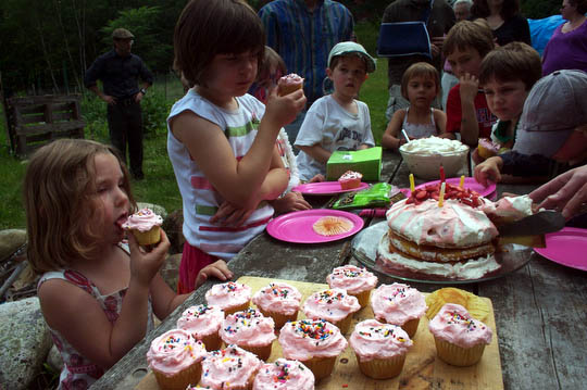 The traditional birthday cupcakes and strawberry shortcake